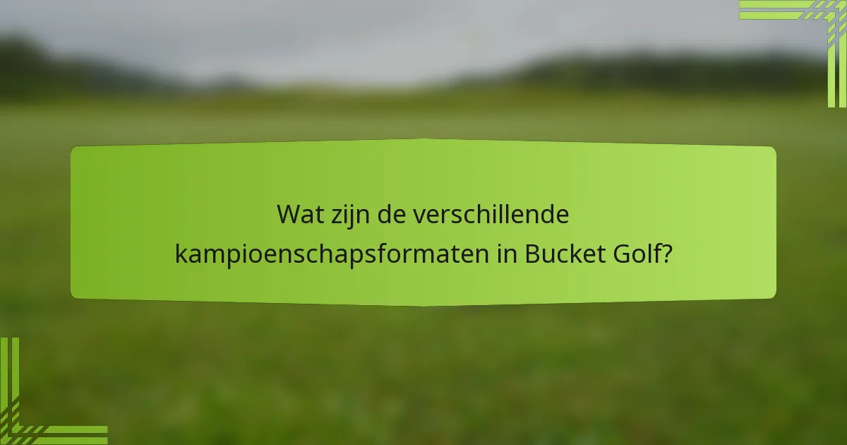 Wat zijn de verschillende kampioenschapsformaten in Bucket Golf?